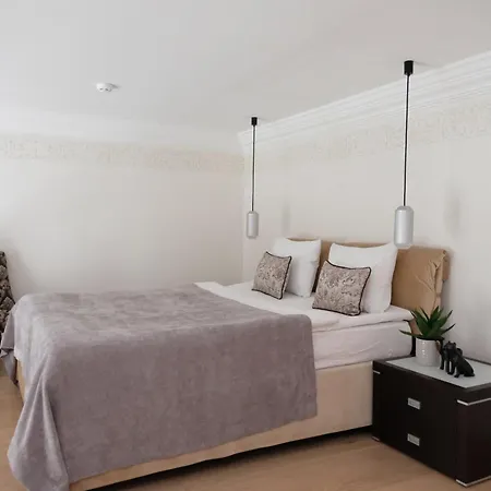 Luxury Loft * Tallinn